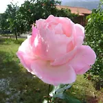 פארק נופש Emek Çıralı