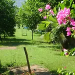 Tatil parkı Emek Çıralı